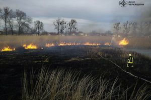 ❗️Черкасская область: 5 пожаров сухой растительности ликвидировали чрезвычайники❗️ фото