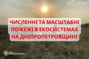 Дніпропетровщина: вогнеборці долають численні та масштабні пожежі в екосистемах