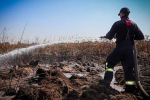 🔥 Київщина: рятувальники гасять торф&rsquo;яну пожежу на Броварщині фото