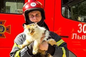 Львівські рятувальники врятували людей і двох котиків із пожежі 🐱🔥 фото