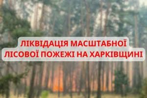 Ліквідація масштабної лісової пожежі на Харківщині