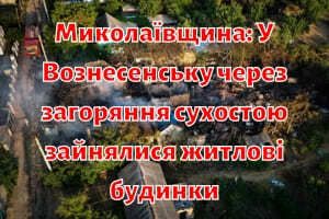 Николаевщина: В Вознесенске из-за возгорания сухостоя занялись жилые дома