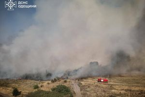❗️Одещина: ліквідовано масштабну пожежу в екосистемі❗️ фото