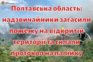 Полтавська область: надзвичайники загасили пожежу на відкритій території та склали протокол на палійку