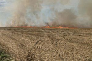 ❗️Пожежі сухостою на Львівщині: одна з них ледь не коштувала людського життя❗️ фото