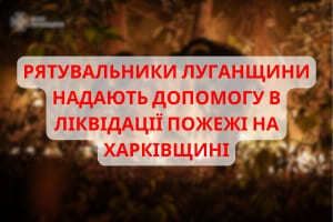 Спасатели Луганщины оказывают помощь в ликвидации пожара в Харьковской области