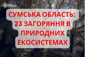 Сумська область: рятувальники упродовж доби 23 рази ліквідовували загоряння в природних екосистемах