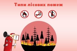 Типы лесных пожаров: как они различаются и какие меры предосторожности нужно принимать, ПОЖСОЮЗ ООО