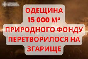 На Одещині півтора гектари природного фонду перетворилося на згарище