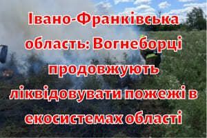 Івано-Франківська область: Вогнеборці продовжують ліквідовувати пожежі в екосистемах області