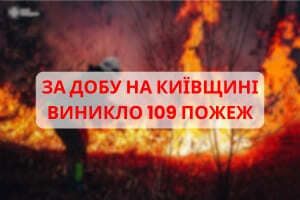 За сутки в Киевской области возникло 109 пожаров