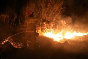 ❗️Закарпатье: более 100 пожаров в экосистемах за сутки ликвидировали огнеборцы❗️ фото