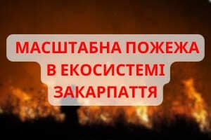 Закарпаття: рятувальники ліквідували масштабну пожежу в екосистемі