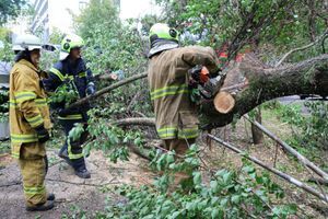 ❗️Запорізькі рятувальники ліквідували наслідки негоди❗️ фото