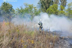 Житомирщина: рятувальники ліквідували сім пожеж сухостою та сміття ⚠️ фото