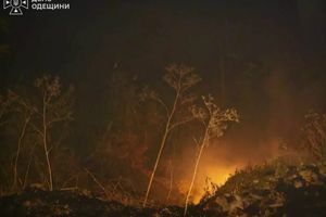 Масштабна пожежа на Одещині: ліквідація тління та захист об'єктів від задимлення фото