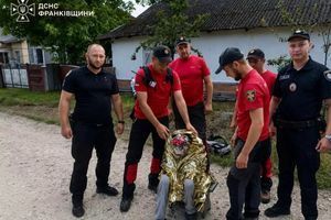 Спасательная операция ДСНС на Прикарпатье - успешные поиски фото