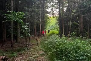 Оперативная работа ДСНС на Прикарпатье: спасение в горах и лесу фото