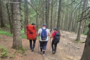 Поисково-спасательные операции в горах: работа ДСНС и правила безопасности фото