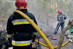 В Виннице во время пожара спасли 35 собак: оперативная сводка ДСНС фото