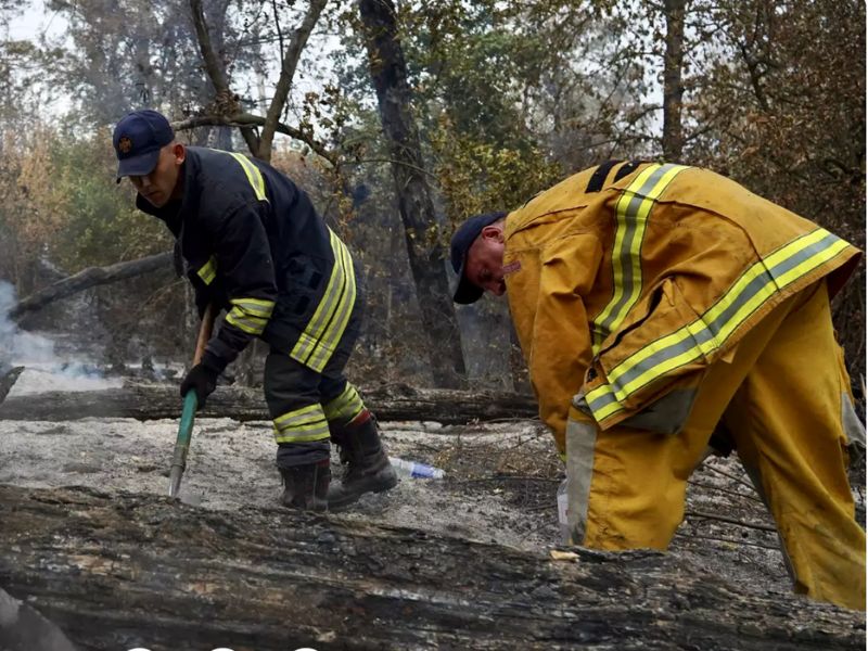 Співробітники ДСНС ліквідують низову пожежу та тління сухої рослинності в лісовому масиві Черкащини.