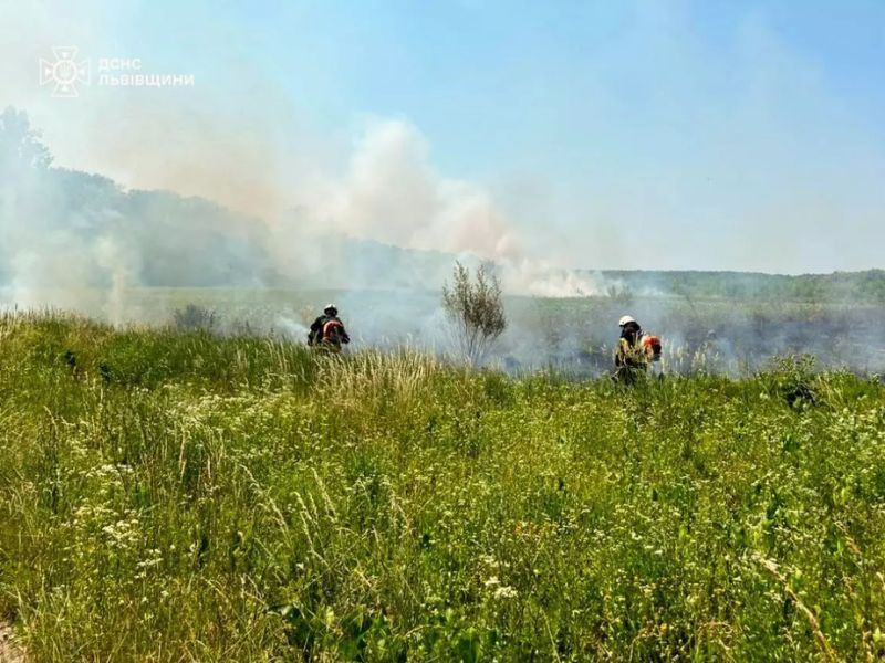 Співробітники ДСНС Львівщини за допомогою ранцевих вогнегасників ліквідовують пожежу сухої трави на відкритій території.