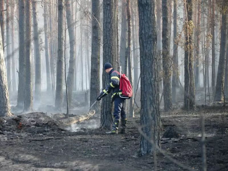 Ликвидация лесного пожара сотрудниками ДСНС с помощью ранцевого огнетушителя.