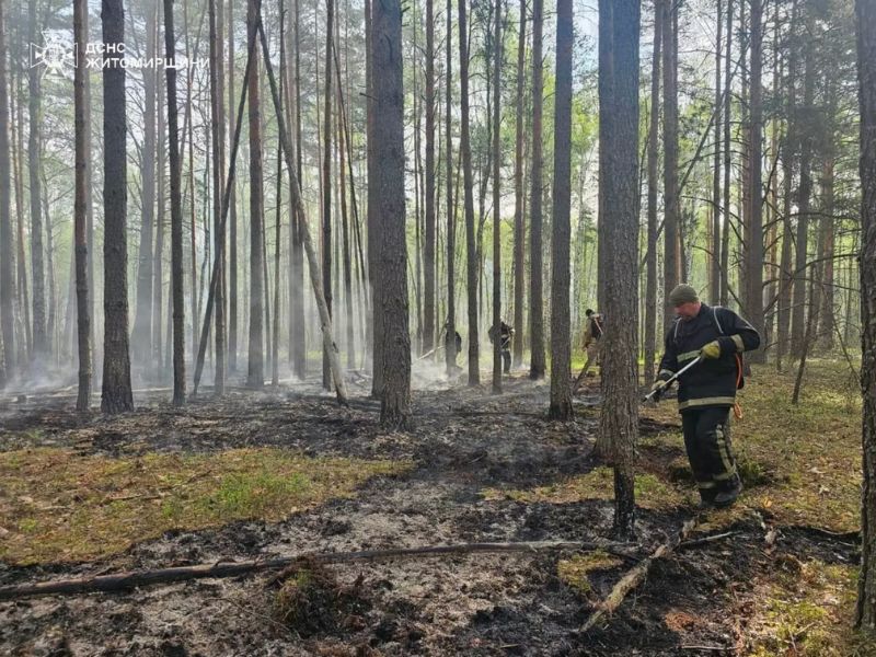 Пожарные ДСНС ликвидируют возгорание сухой травы и лесной подстилки в Житомирской области