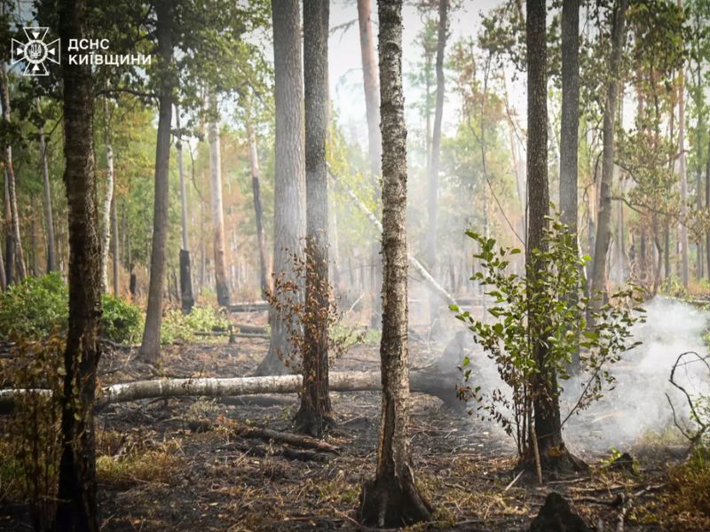 Тління лісової підстилки та сильне задимлення території у процесі гасіння пожежі в Чорнобильській зоні.