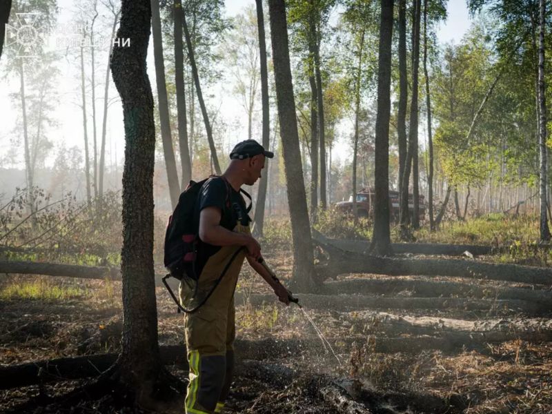 Співробітник ДСНС ліквідує тління лісової підстилки за допомогою ранцевого вогнегасника.