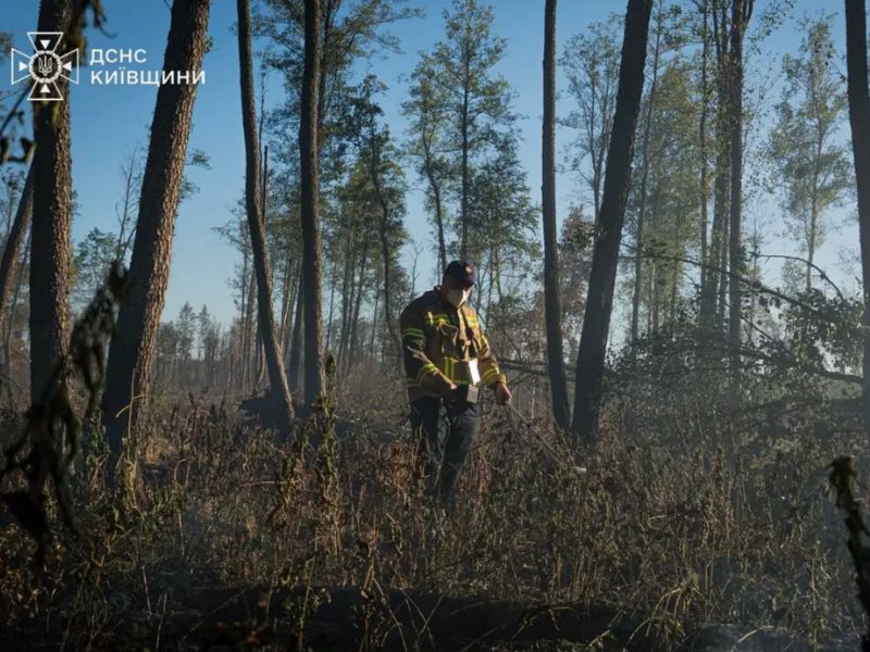 Рятувальник ДСНС вимірює радіаційний фон дозиметром після ліквідації лісової пожежі в зоні відчуження.