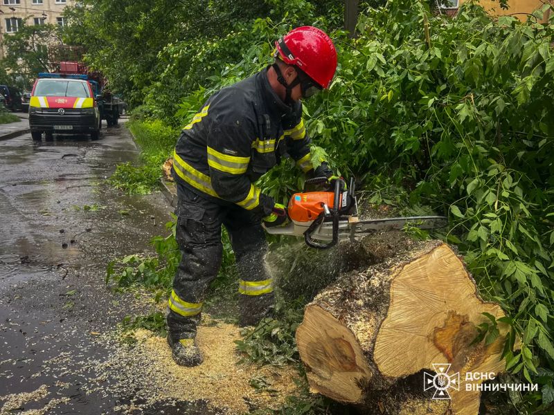 Співробітник ДСНС Вінниччини розпилює стовбур поваленого дерева бензопилою для розчищення проїжджої частини після негоди.