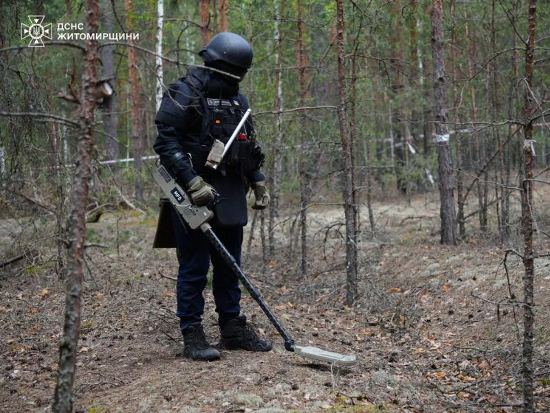 Пиротехник ДСНС проводит разминирование и обследование лесной зоны с металлоискателем.