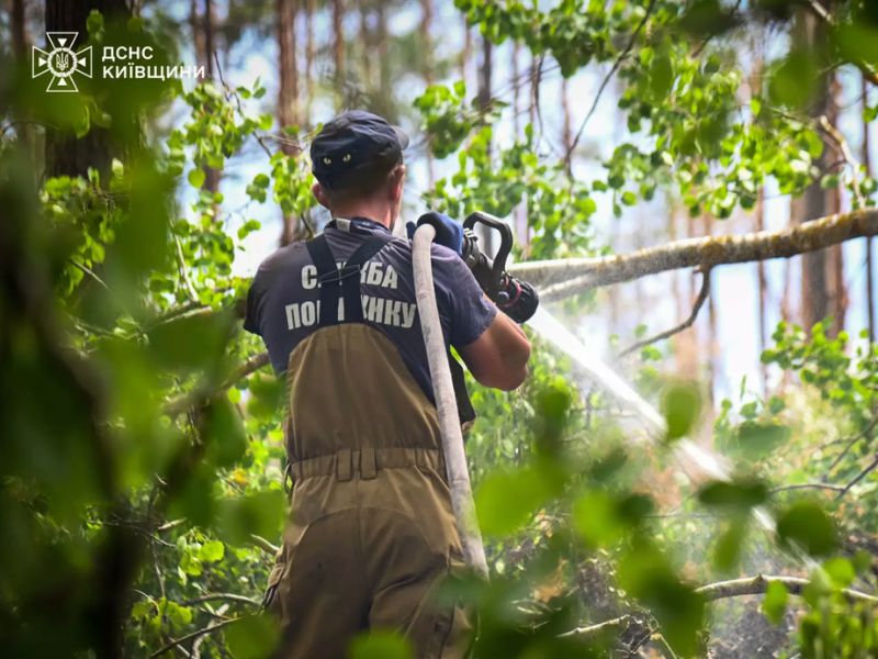Рятувальник ДСНС ліквідовує лісову пожежу в Чорнобильській зоні відчуження за допомогою ручного пожежного ствола.
