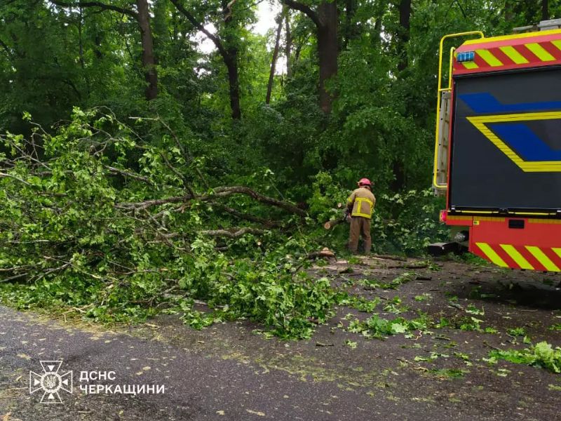 Сотрудники ДСНС проводят работы по распиловке и уборке упавшего дерева с проезжей части после штормового ветра.