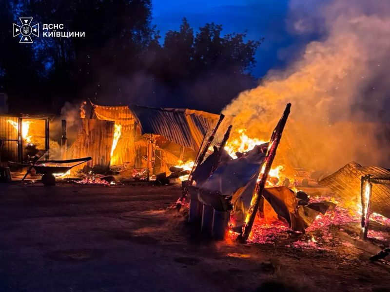 Відкрите полум'я інтенсивно знищує дерев'яні та металеві конструкції вольєрів для тварин на території притулку в нічний час.